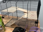 Cage pour hamster avec accessoires