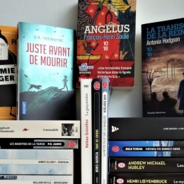 Thrillers, romans, policiers, Fiction, livres format poche- état neuf à 2,50 euros l’unité